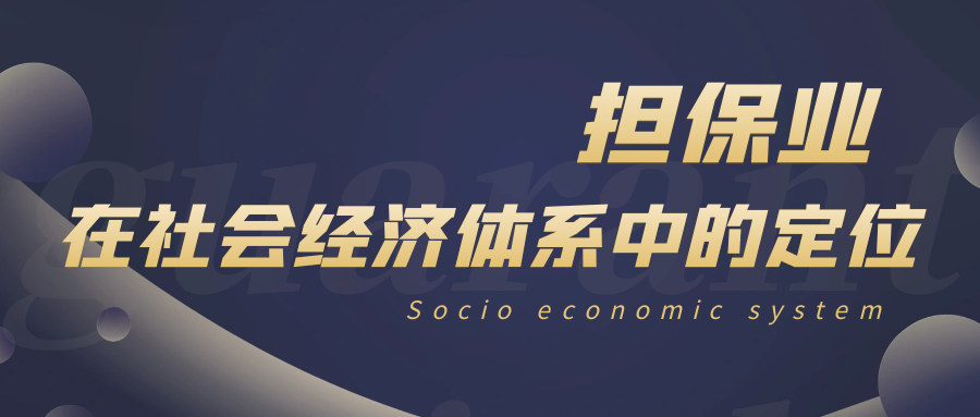 在社會經濟體系中的定位